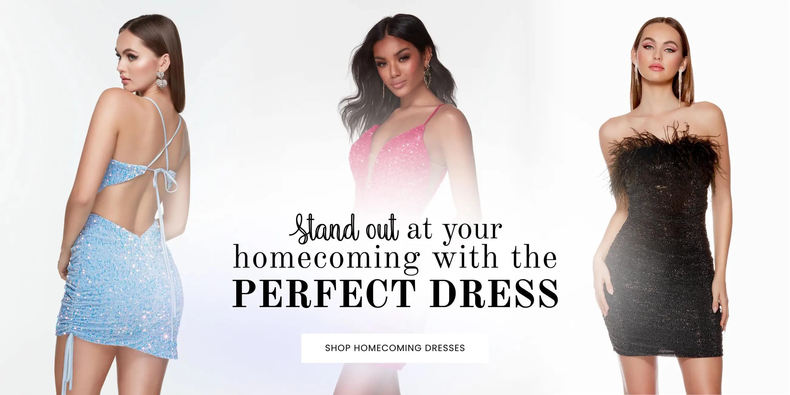 Homecoming Banner Desktop