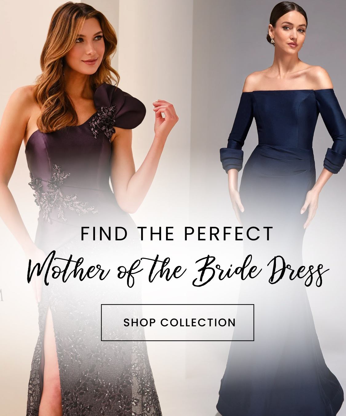 mother of the bride dresses banner 2026